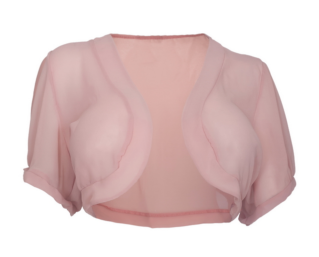 Plus size Sheer Open Front Bolero Shrug Pink Photo 1