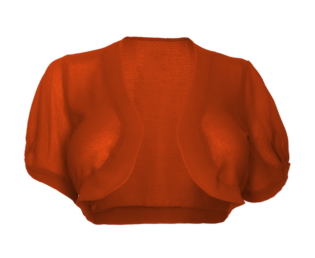 Plus size Sheer Open Front Bolero Shrug Orange Photo 1