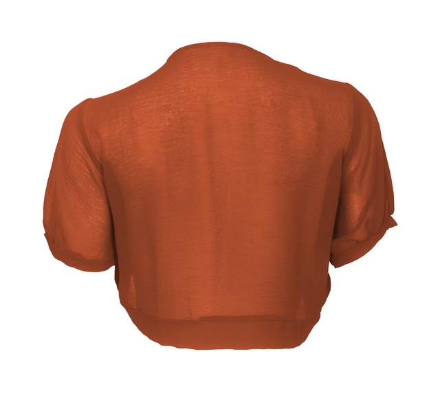 Plus size Sheer Open Front Bolero Shrug Orange Photo 2