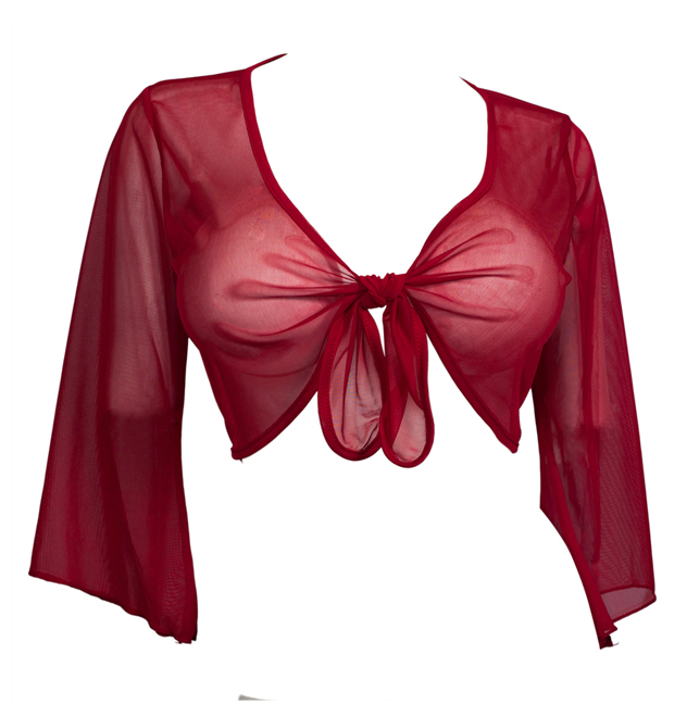 Plus Size Sexy Red Sheer Front Tie Bolero Shrug Photo 1