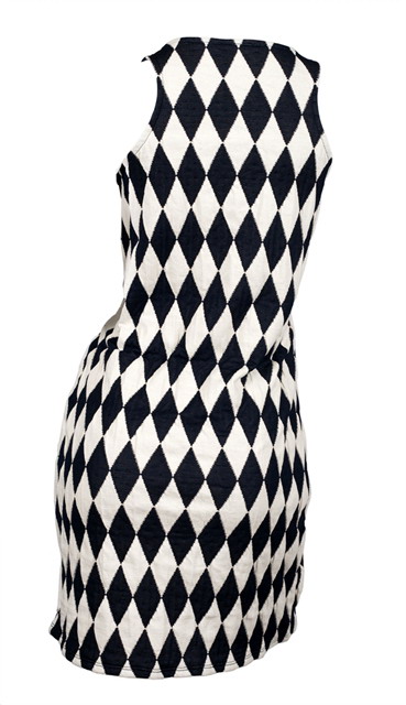 Plus Size Checkered Dress with Necklace Detail Photo 3