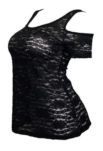 Plus size Floral Lace Sheer Off Shoulder Top Black | eVogues Apparel